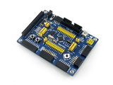 STM32 Development Board