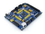 STM32 Development Board