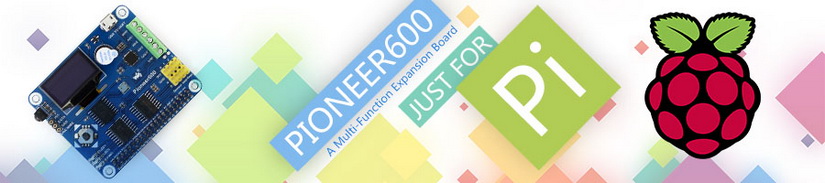 Pioneer600-banner.jpg