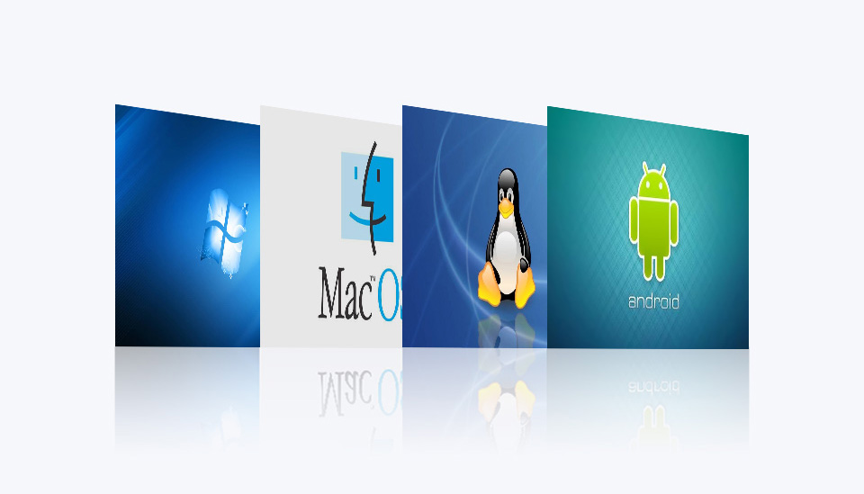 USB 3.2 Gen1 TO 2.5G, multiple systems support