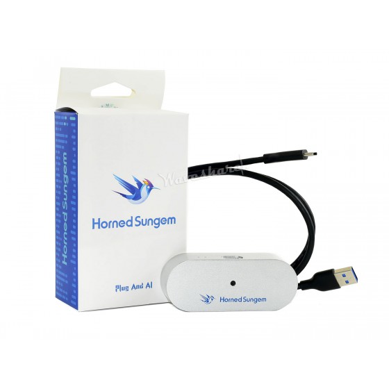 Horned Sungem AI Vision Kit, USB Connectivity, Plug-and-AI