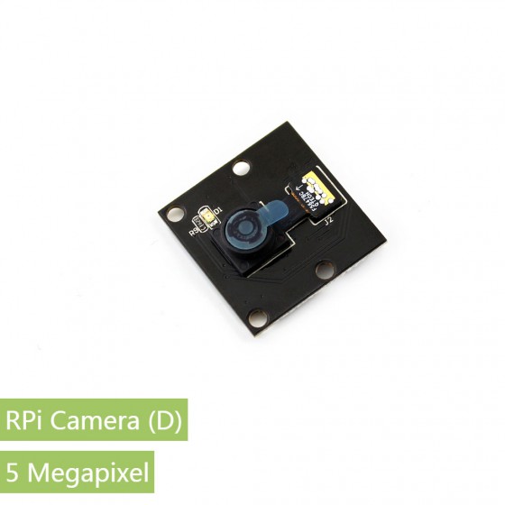 RPi Camera (D)